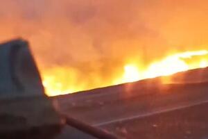 BUKTINJA KOD SUBOTICE Ogroman plamen širi se duž auto-puta (VIDEO)