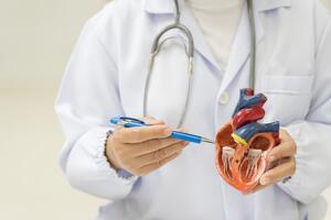 Aorta priznata kao zaseban ljudski organ: Lekari očekuju poboljšanja u lečenju