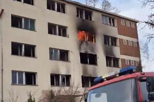 POŽAR U BAČKOJ PALANCI: Objekat u plamenu, vatrogasci se bore sa vatrenom stihijom (VIDEO)