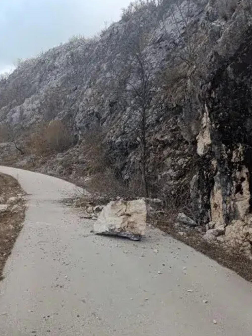 zemljotres, Crna Gora
