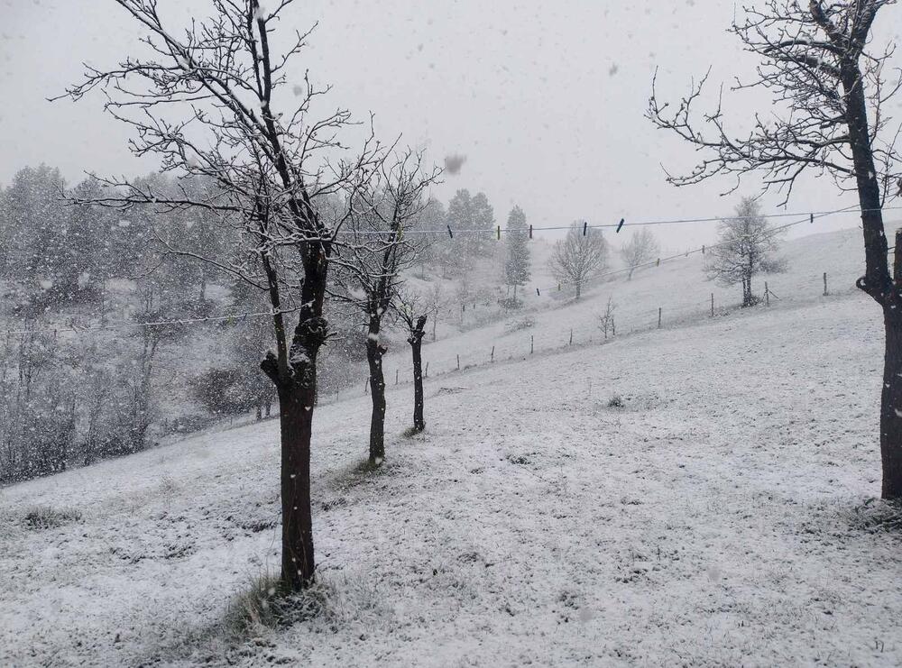 Zlatibor, sneg