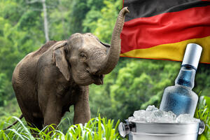 IMALI ZANIMLJIVU IDEJU, A ONDA BANKROTIRALI: Nemačka firma promovisala slonove svojim pićem, ali je vrlo brzo sve pošlo naopako