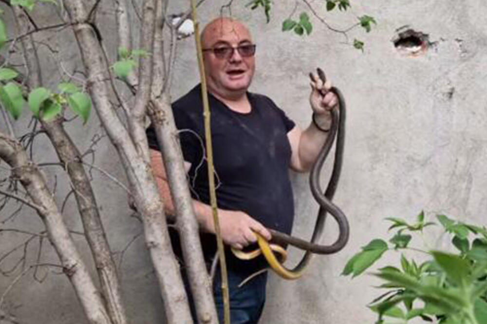 ŠOK PRIZOR! Vladica objavio gde je otkrio dve ogromne zmije: Morali smo da bušimo rupe, ko zna koliko su boravile (FOTO)