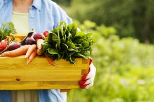 Nova sezona ranog proletnjeg zeleniša: 7 vrsta povrća koje baš sada treba jesti