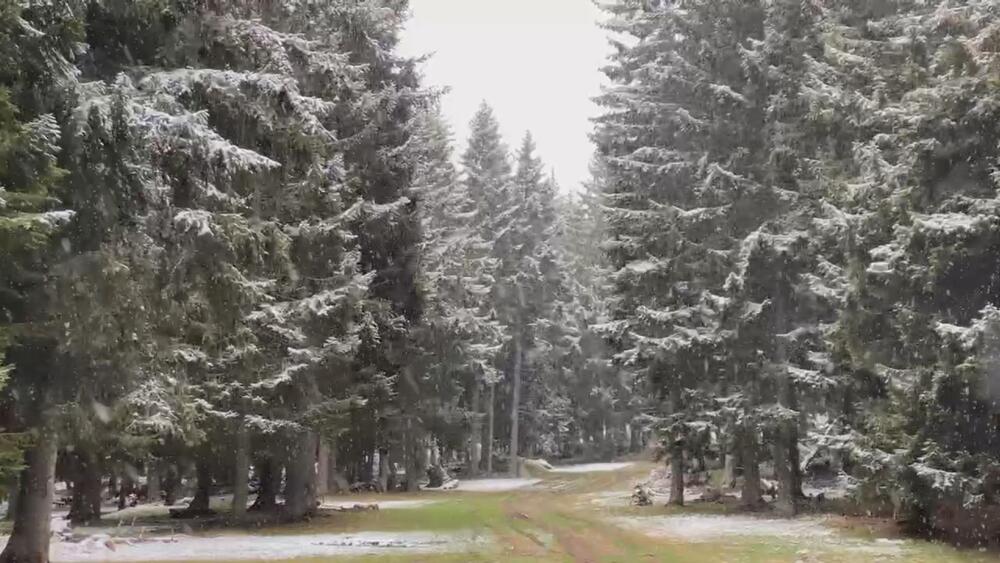 SNEG VEJE NA GOLIJI, PADA I NA KOPAONIKU: Zimska idila usred aprila! Pogledajte nestvarne prizore sa srpske planine (VIDEO)