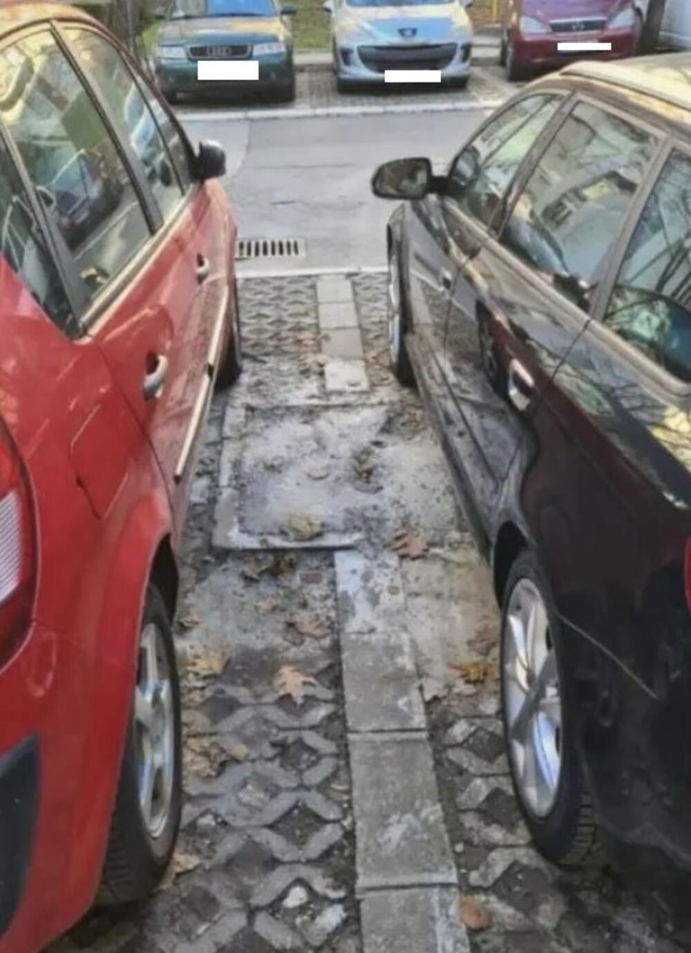 BAHATI POTEZ VOZAČA SA VRAČARA OSTAVIO LJUDE U NEVERICI: Gospoda isekla drvo, pa zabetonirala nišu da im ne smeta pri parkiranju!