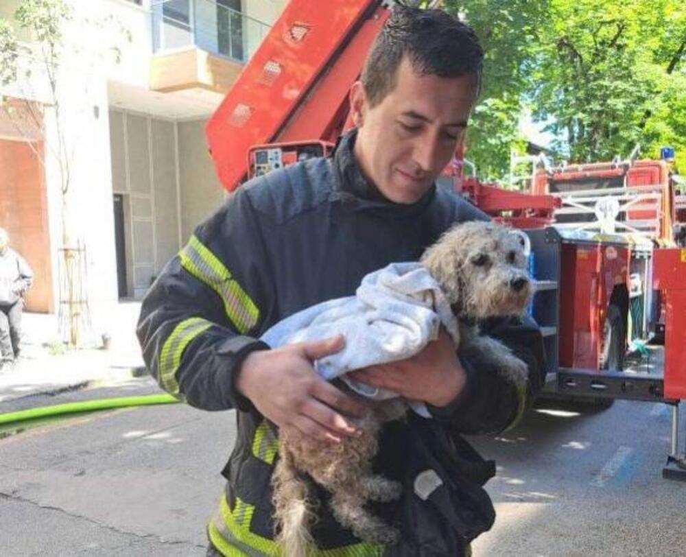 PRIZOR NAKON POŽARA U CARIGRADSKOJ TERA SUZE NA OČI: Vatrogasci spasili kuče iz vatre, slika govori VIŠE OD 1.000 REČI (FOTO)