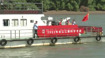 Naučno istraživanje delfina u reci Jangce