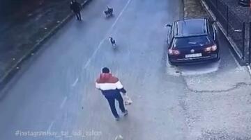 Čopor pasa napao muškarca u Beogradu